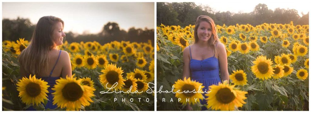 beautiful blonde girls in field of sunflowers, north branford ct photographer