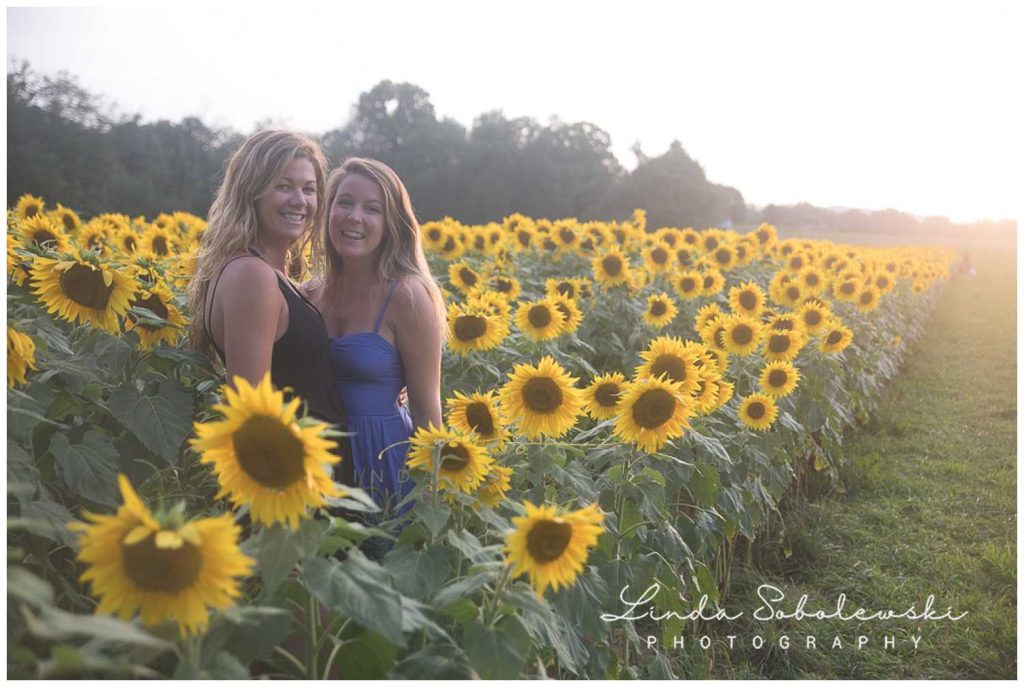 beautiful blonde girls in field of sunflowers