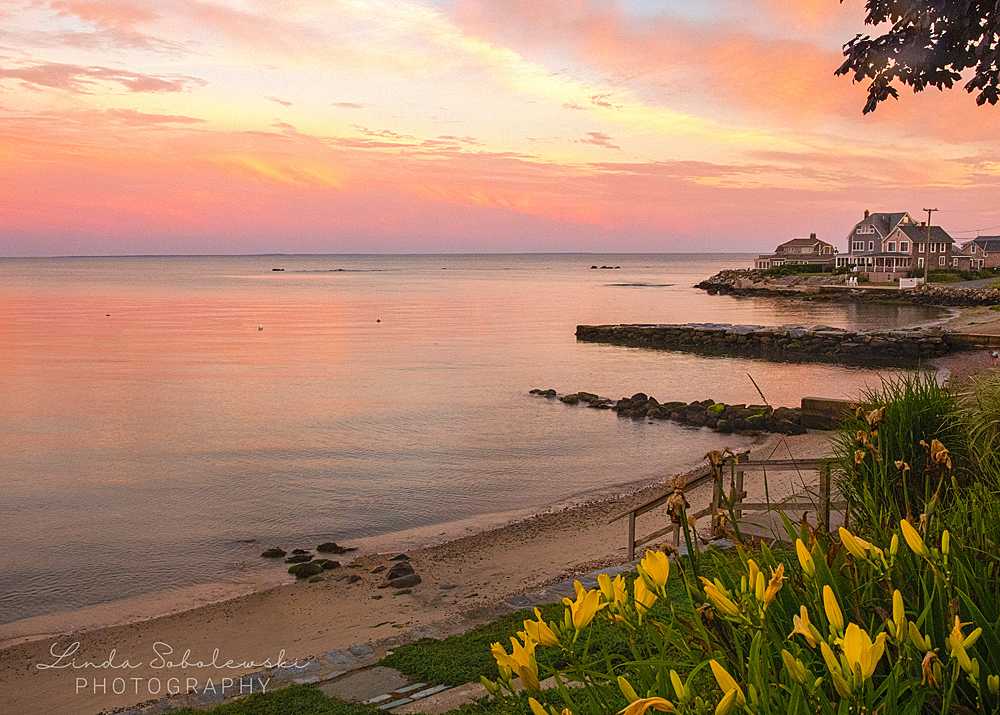 pink sunset with yellow flowers, Westbrook landscape photographer