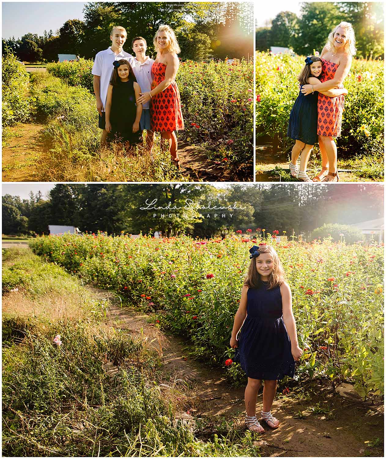 family posing in a field of flowers, essex ct photography