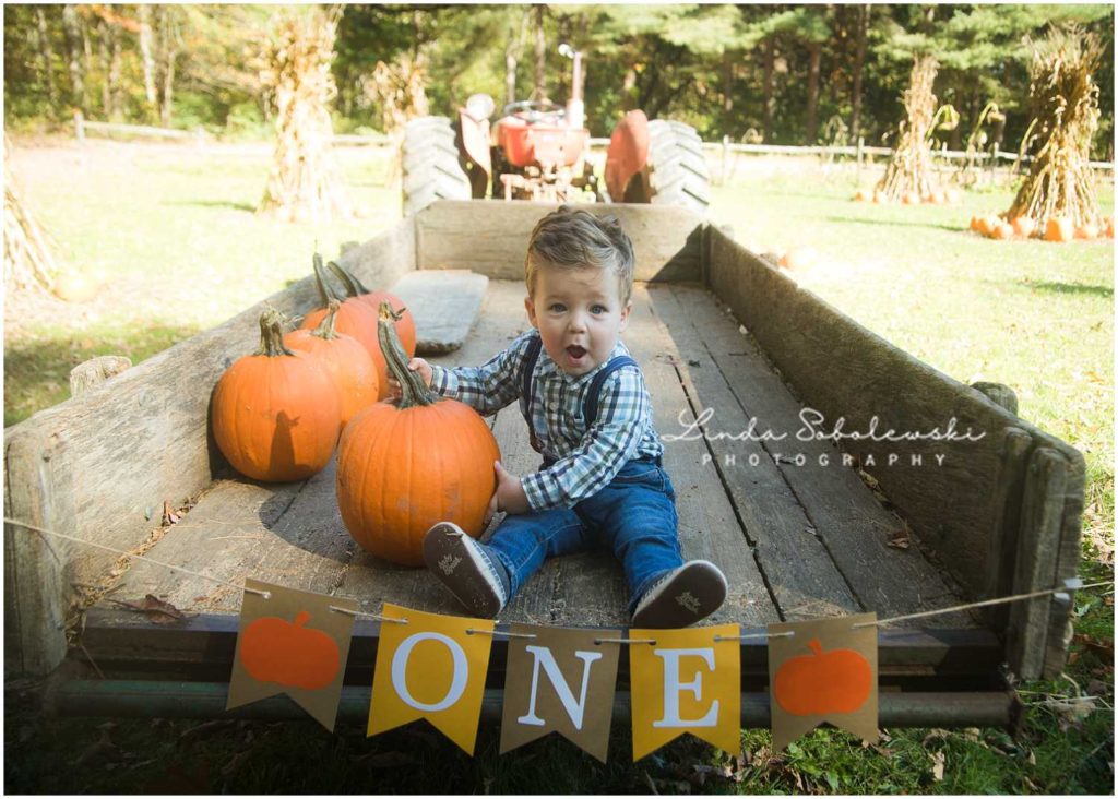 one year old baby boy in wagon with pumpkins