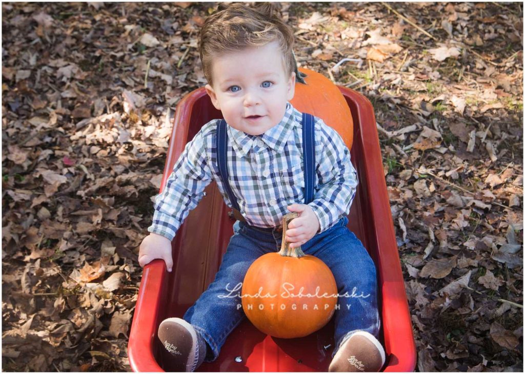 one year old baby boy in red wagon with pumpkins