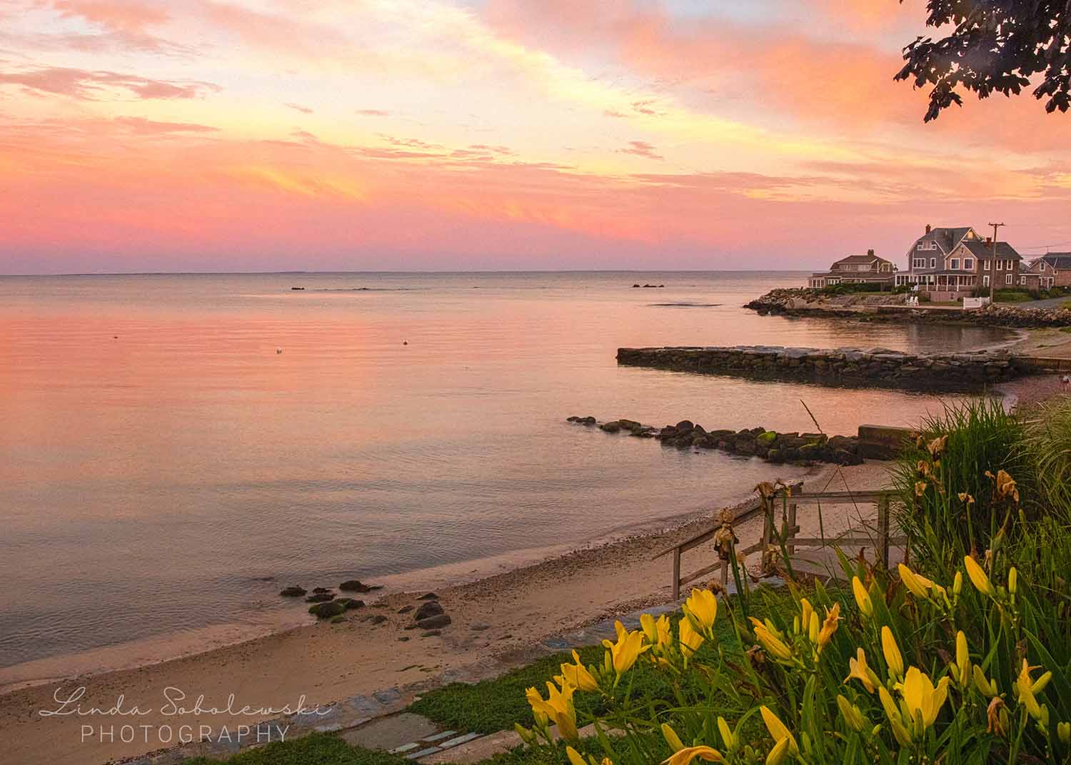 pink skies over the water with yellow flowers, Westbrook ct photographer