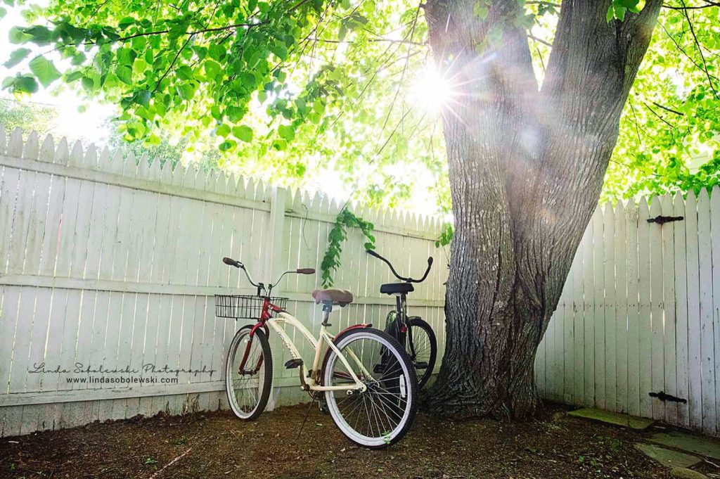 two beachcomber bikes with sunflare, lindasobolewskiphotography, June project 52
