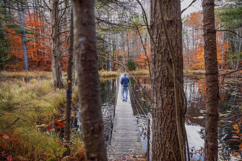 hiking in the fall foliage during a weekend in New Hampshire, Connecticut family and lifestyle photographer