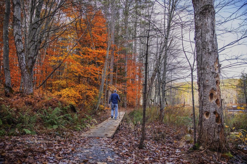 man hiking in the fall foliage during a weekend in New Hampshire, Connecticut man hiking in the fall foliage, Connecticut family and lifestyle photographer