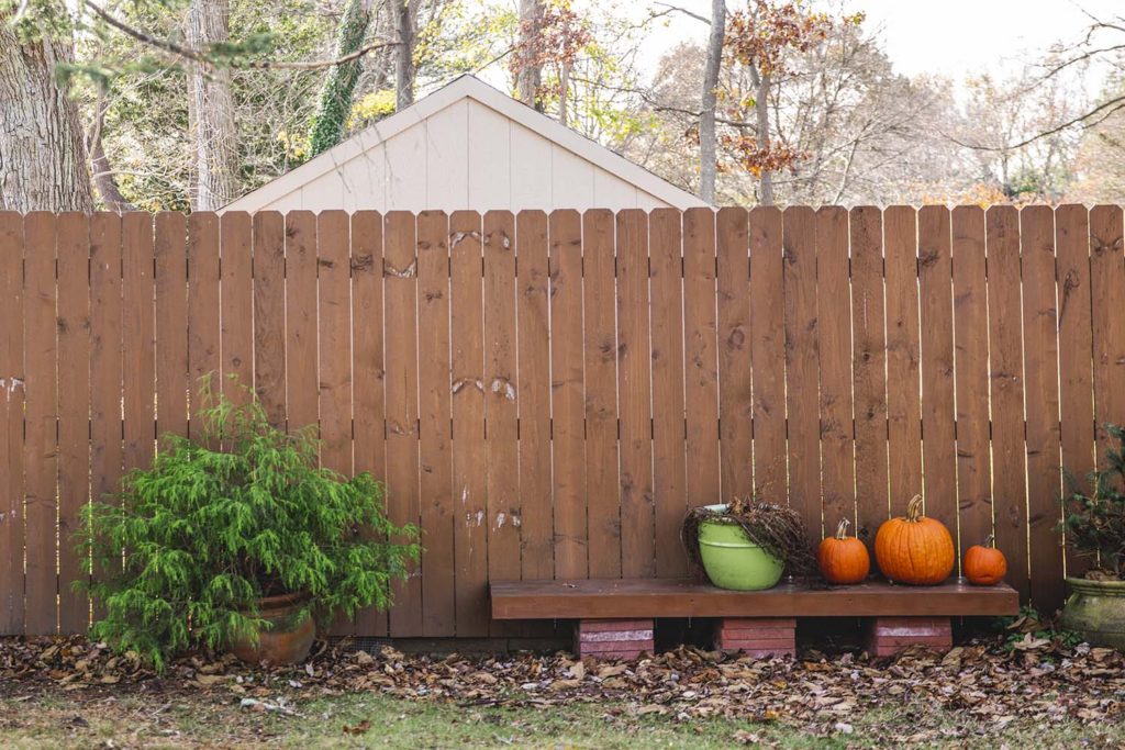 personal project for project 52 - negative space, fence with pumpkins, November 2019