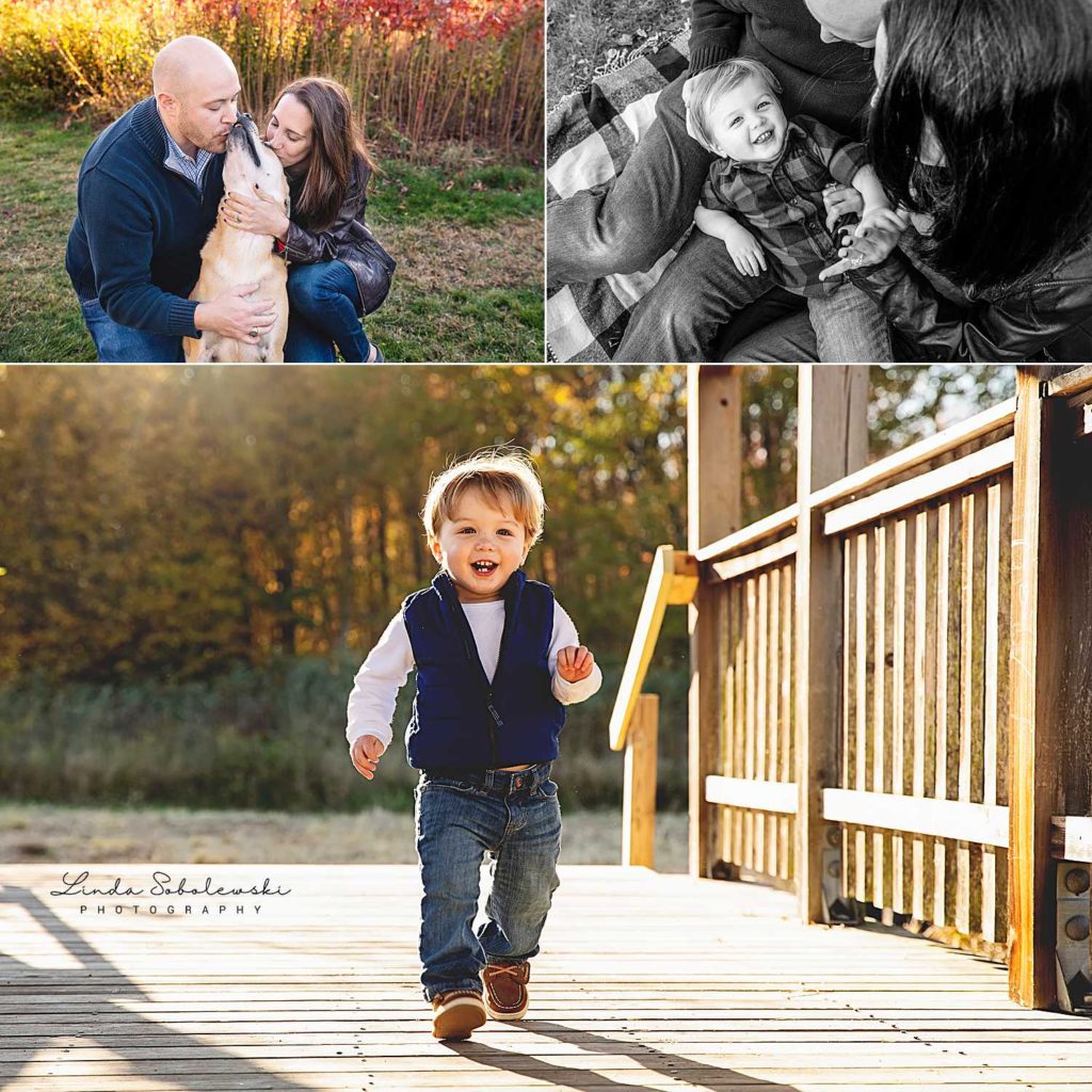 family with little boy and dog at the park, Madison, CT lifestyle photographer, a look back at 2019