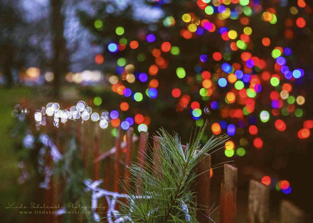 Blurred Christmas lights on the Guilford green, 2019 Project 52, Guilford Lifestyle Photographer