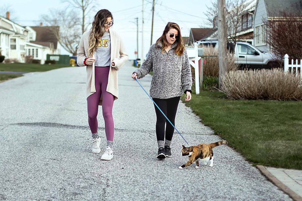two girls walking a cat on a leash, Old Saybrook Photographer