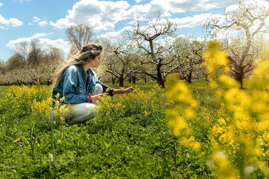 girl in field of yellow flowers, May, 2020 Personal Project for Linda Sobolewski Photography, CT Family Photographer