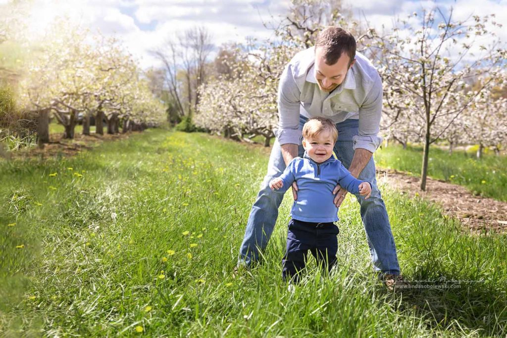 dad helping his little boy walk in an apple orchard, Family Photo Session, CT Family Photographer