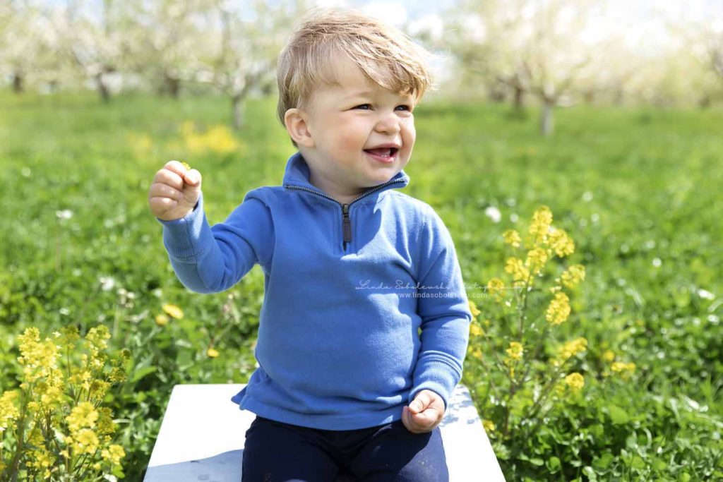 little boy sitting on a box holding a flower, Spring Photo Session, Deep River, CT photographer