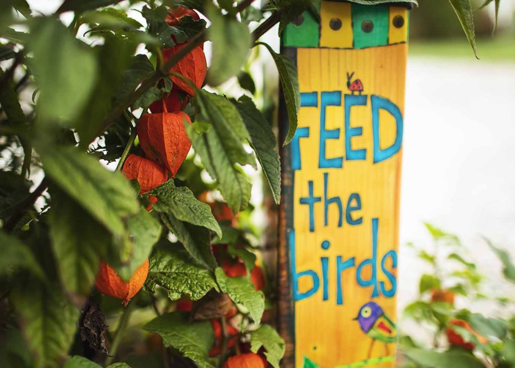sign that says "feed the birds", September, 2020 personal project for CT Shoreline's Best Family Photographer