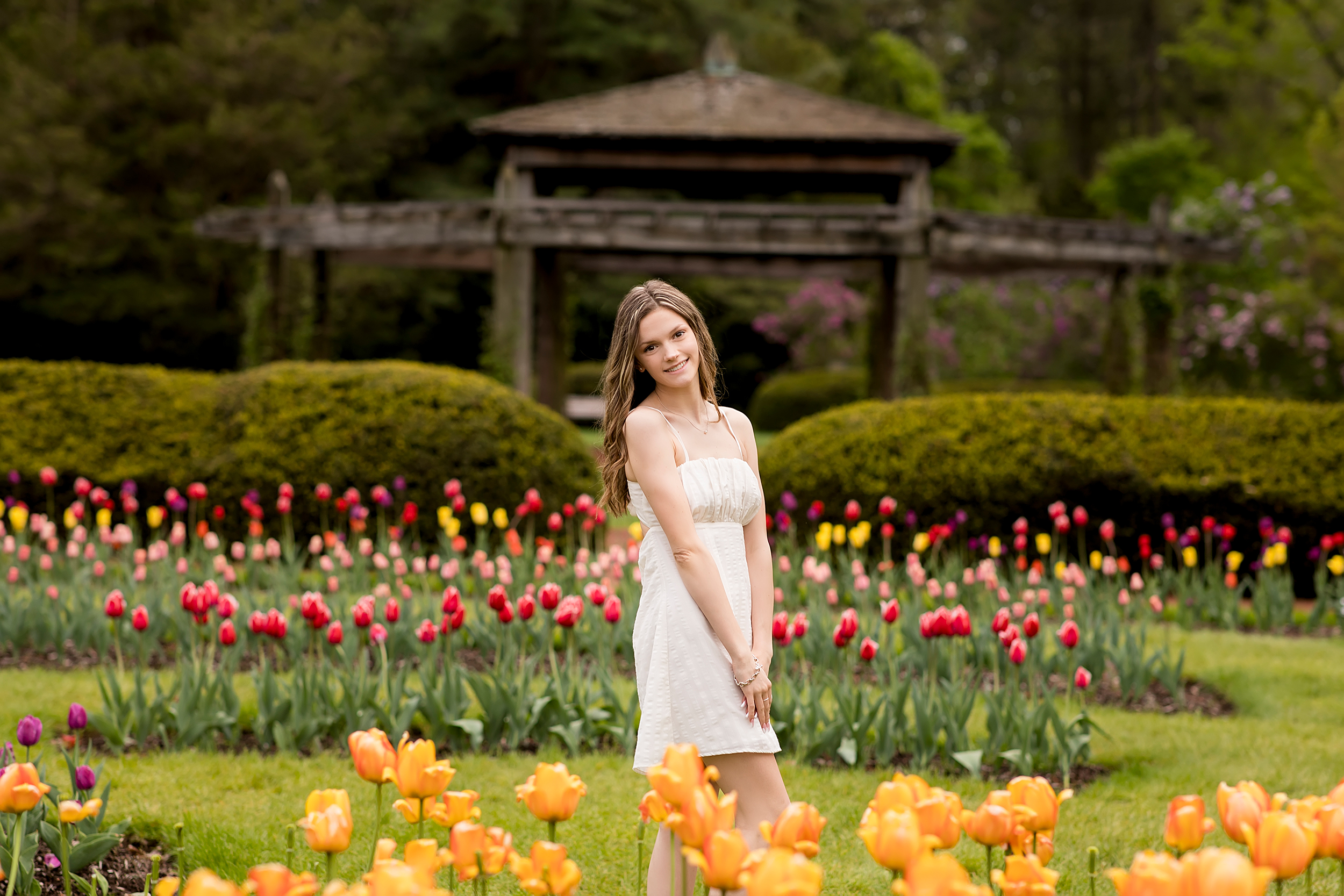 teenage girl in white dress standing in a tulip garden, Senior photo session at Elizabeth State Park, West Hartford, CT Photographer