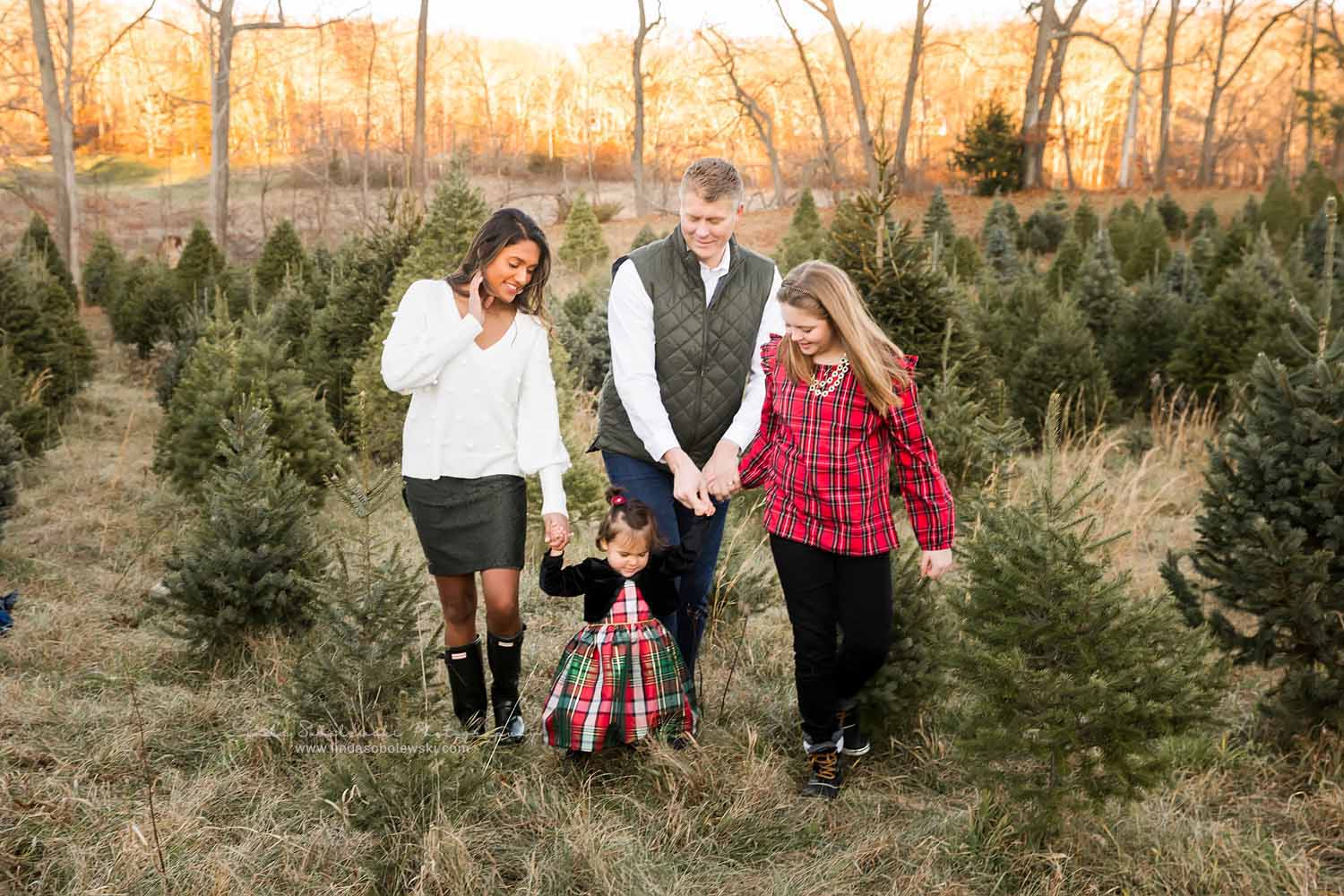 family of four walking in the Christmas tree farm, CT shoreline photographer