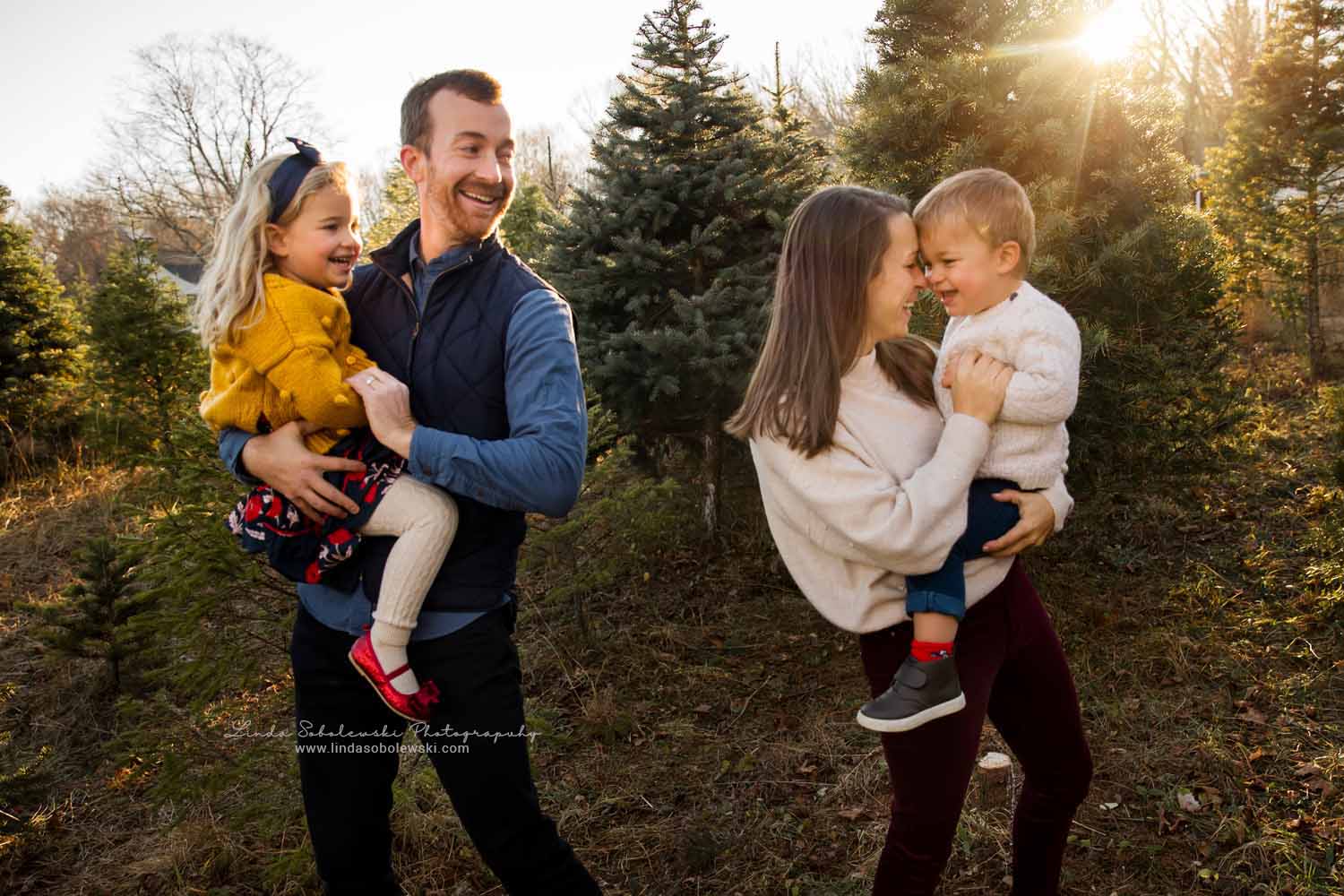 family of four in playing together, Christmas Tree Farm Mini-Sessions, Connecticut Family photographer