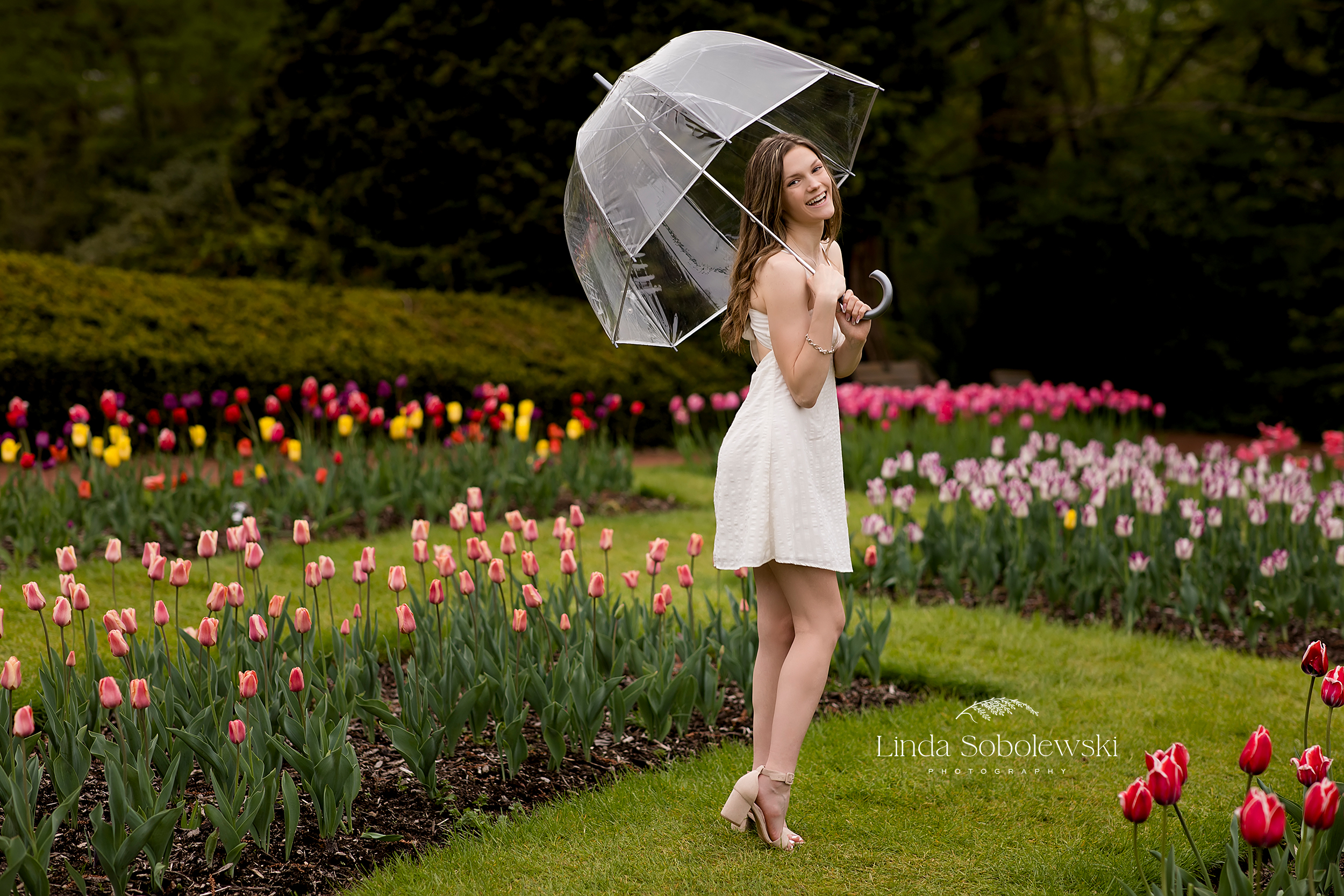 teenage girl in white dress standing in a tulip garden, Senior photo session at Elizabeth State Park, Westbrook, CT Photographer
