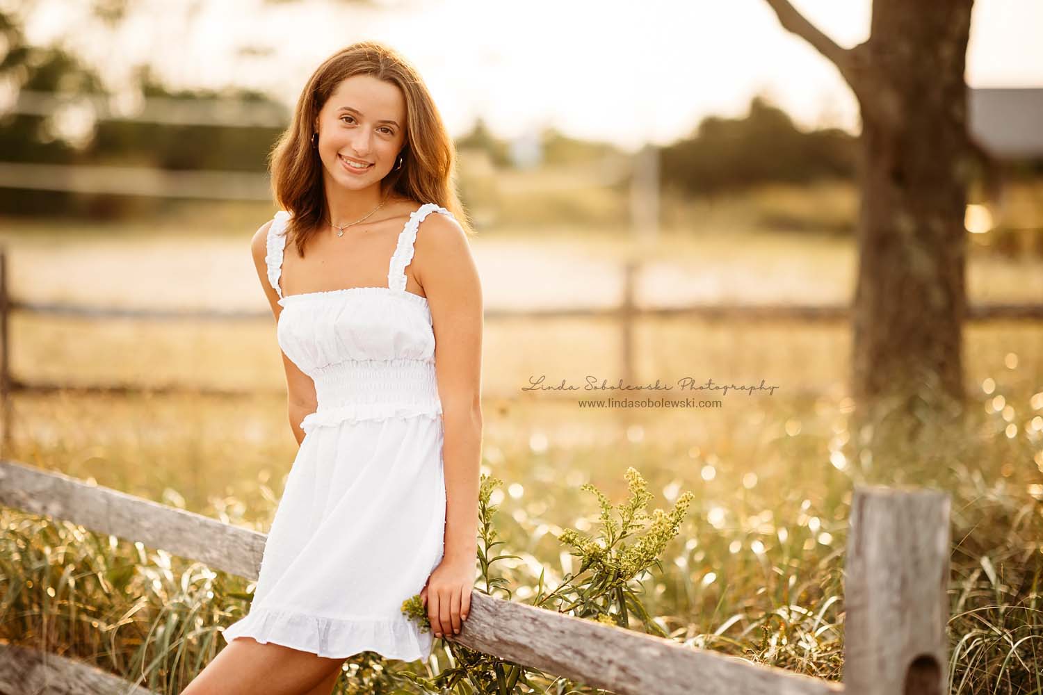 pretty girl leaning against a fence, Guilford Senior Photographer