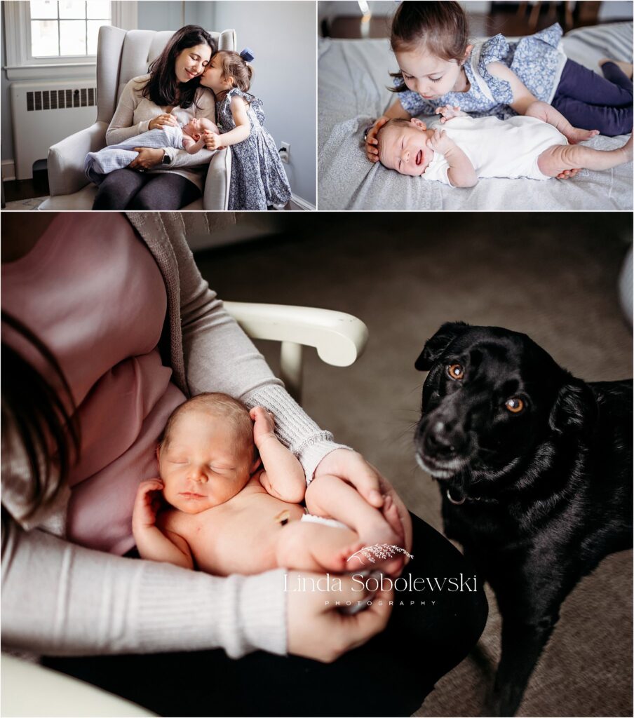 babies and their big sisters and pets, CT lifestyle newborn photographer