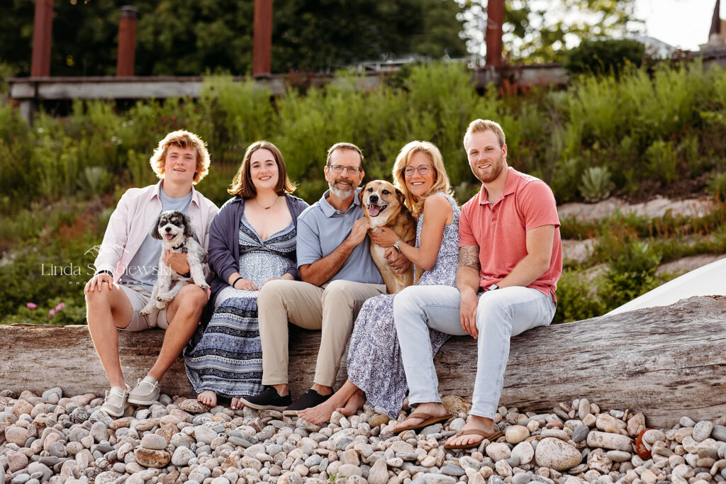 family and their dogs sitting on a log at the beach, CT Best family photographer