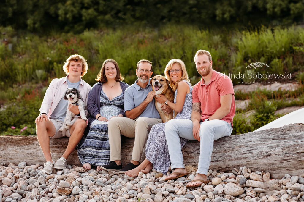 family and their dogs sitting on a log at the beach, CT Best family photographer