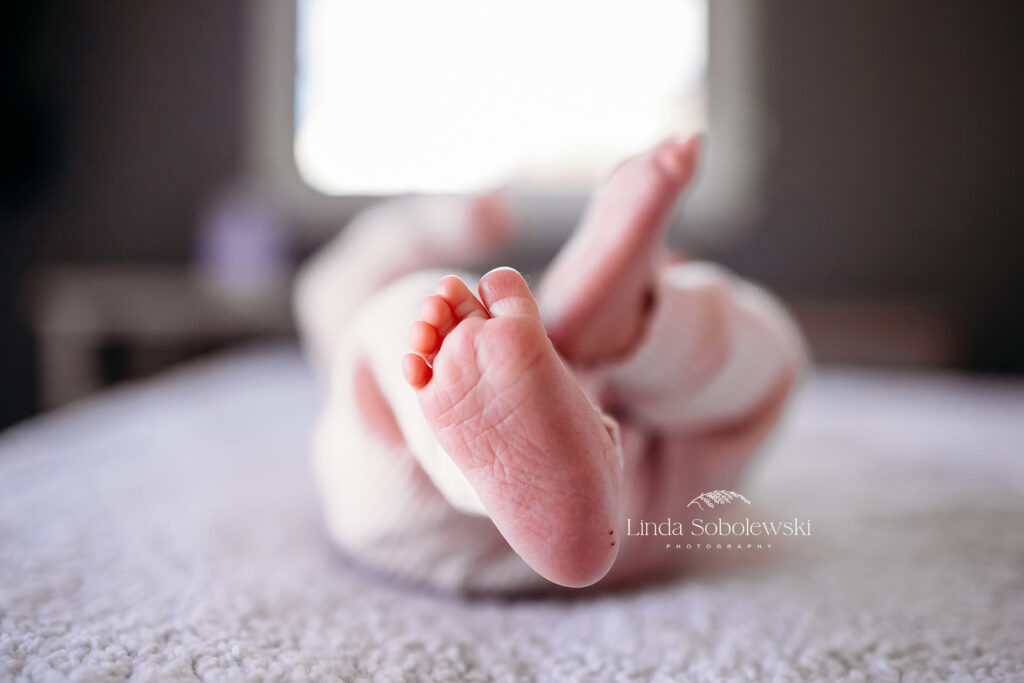 baby feet, Branford CT baby photographer