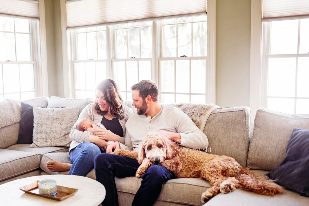 new family on the couch with their dog, CT shoreline baby session