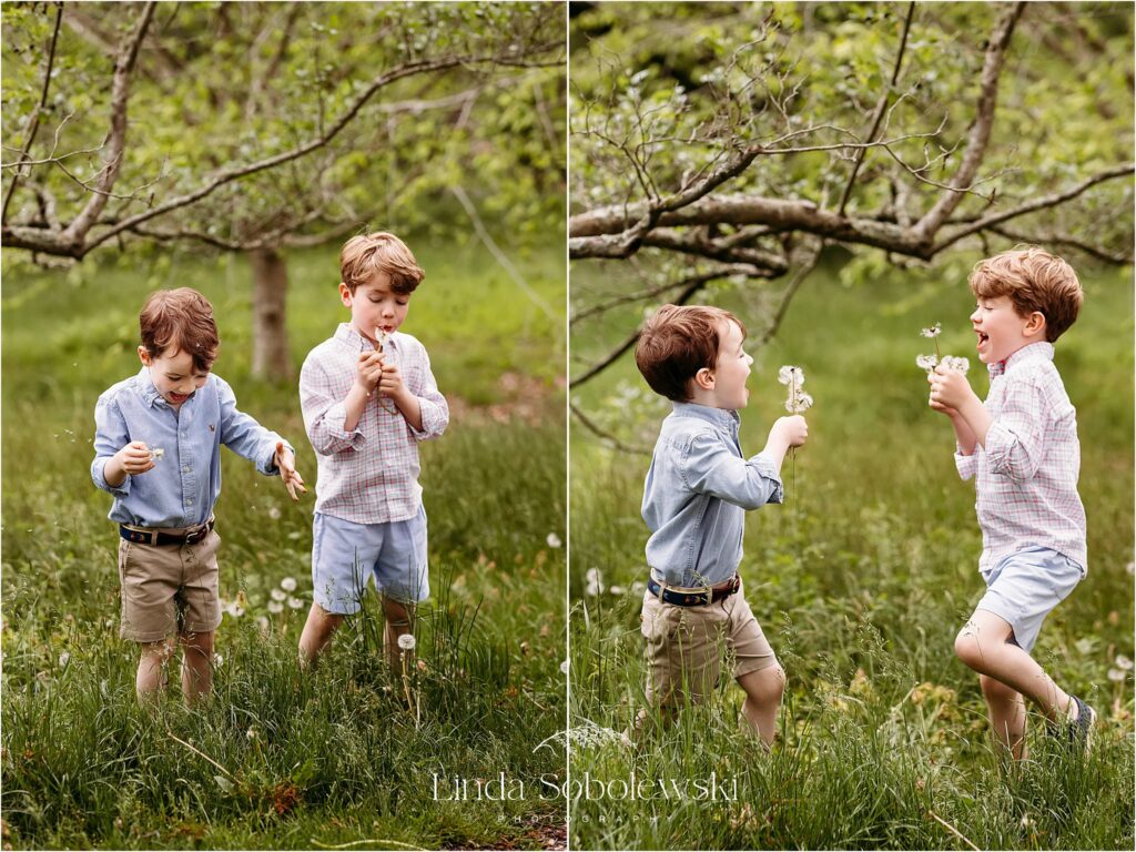 two little boys playing in the grass,CT Spring photo session