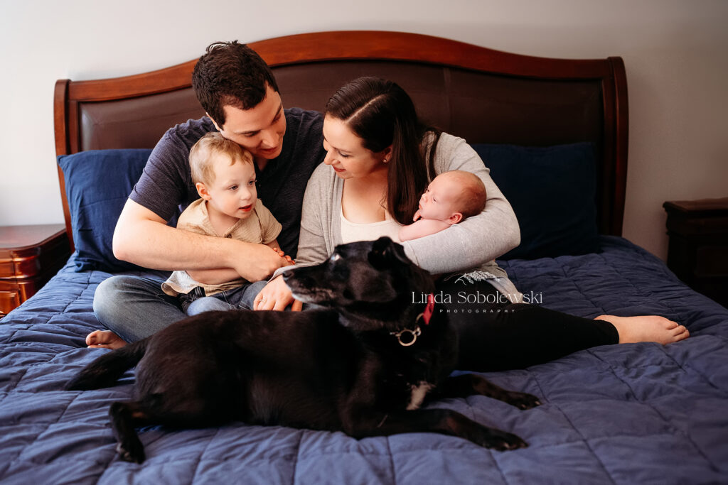 family of four in bed together with their black dog, Family photo session