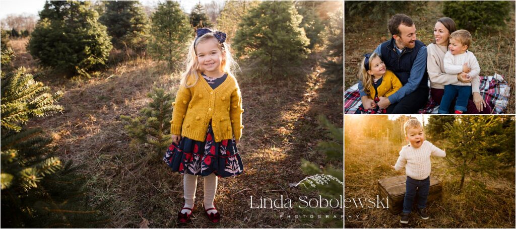 little girl in mustard color sweater at a tree farm with her family, Guilford CT family photographer